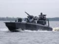 Румыния предложила самоуничтожаться  заблудившимся  морским дронам