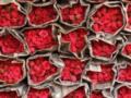 Почему по дороге из Нидерландов в Украину пропадают миллионы роз и при чем здесь контрабанда