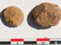 Археологи нашли 500-летний картофель, который до сих пор не сгнил
