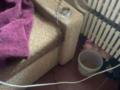 В Каменском мать приковывала 7-летнего сына цепью к батарее