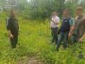 В Днепропетровской области раскрыты две группы  черных лесорубов 