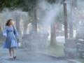 В Украину надвигается аномальная жара: температура в отдельных областях поднимется до +40 градусов