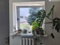 Удар по Днепру: стали известны подробности о жертвах