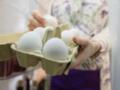 Первые признаки испорченного куриного яйца и как проверить их на свежесть: делимся лайфхаками