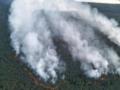 В Германии горит лес на полигоне: детонируют боеприпасы