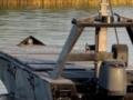 Украинские морские пехотинцы провели первую атаку с использованием FPV-дронов с беспилотных катеров «Barracuda»