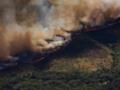 Пожары в Испании: в стране введен режим чрезвычайной ситуации