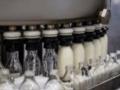 Россия расширила ограничения на импорт из Армении