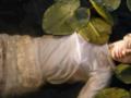 «Маричка»: Tayanna посвятила новую песню женщинам, которые распускают косы, отдаваясь чувствам