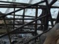 Войска РФ нанесли удар по ферме в Сумской области, погибли коровы