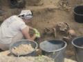 Во Львове начинается эксгумация тел военнослужащих Войска Польского, погибших в сентябре 1939-го