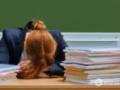 Части учителей сохранили ежемесячную доплату к зарплате: кто будет получать ещё 2600 грн