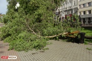Три тысячи человек продолжают ликвидировать страшные последствия субботнего урагана в Свердловской области