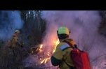 На севере Иркутской области бушует большой пожар