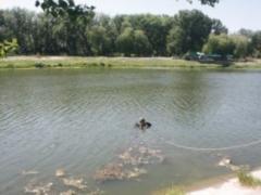 С начала года в Украине утонуло 240 человек