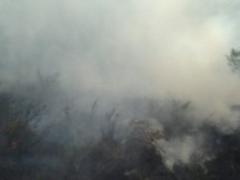 On Khortitsa, unknown people set fire to Zaporizhzhya Sich