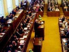 В Чехии приняли законопроект о запрете убивать животных ради меха
