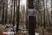 ОНФ и чиновники собственными руками уберут несанкционированную свалку под Каменском-Уральским