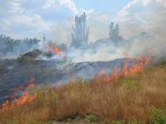 В Украине 10-14 июня ожидается чрезвычайный уровень пожарной опасности