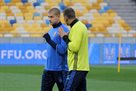 Ракицкий пропустит матч с Турцией