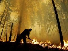 В некоторых областях Украины ожидается чрезвычайная пожарная опасность