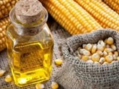Україна збільшила експорт олії та кукурудзи