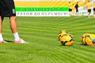 Александрия сыграет с АЗ и Брюгге на сборах