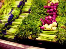 Making up a menu for pregnant women