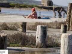On the Kuyalnik estuary will create a park