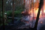 В Португалії не вдається взяти під контроль лісові пожежі, гинуть люди