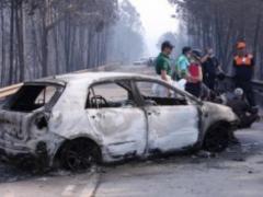 Кількість жертв лісових пожеж в Португалії збільшився до 62