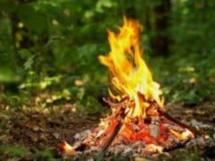 В нескольких областях Украины объявили чрезвычайную пожароопасность