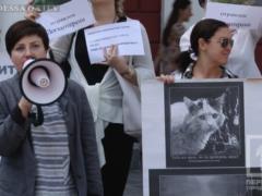 «Не дадим издеваться над животными»: одесские зоозащитники митинговали на Думской площади