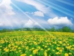 У четвер в Україні буде тепло і хмарно