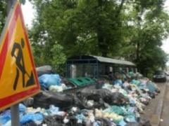 Львову угрожает лептоспироз, туберкулез и гепатит - Госпродпотребслужба