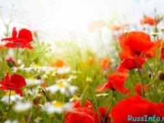 On Monday in most areas there will be rains
