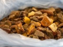 У жителя Волыни изъяли янтаря на 200 тыс грн
