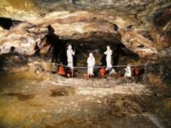 An ancient Trypillian settlement was found in the Kirovograd region