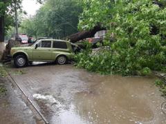 Ураган в Украине: в Черкасской области погибла девушка