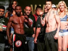 Cuban  Jackal  was deprived of victory because of a dishonest knockout