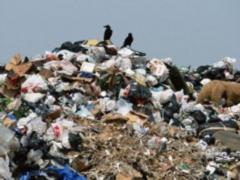 882 тонн сміття вивезли зі Львова за добу