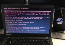 Распространители вируса Petya просчитались с шантажом