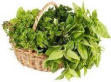 The effect of phytocomplexes on human health