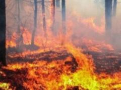 У Чорнобильській зоні триває гасіння пожежі, - ГСЧС