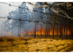 У Чорнобильській зоні через пожежу посилений контроль за радіаційною ситуацією