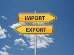Ukraine increased export of goods to the EU by 39 positions