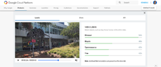 Google випустила публічну бета-версію аналізатора відео на базі штучного інтелекту