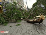 Large hail and strong wind. On the Sverdlovsk Region hurricane is again approaching