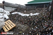 In the Beloyarsk region, a huge dump was eliminated