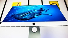 Almost all MacBook and iMac users are happy with the purchase